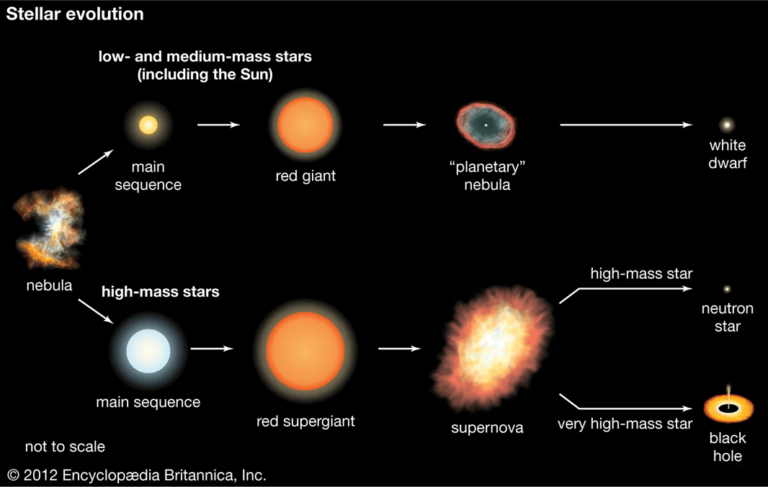 Stars of Death Everything You Need to Know About the Infamous High Potency Edible