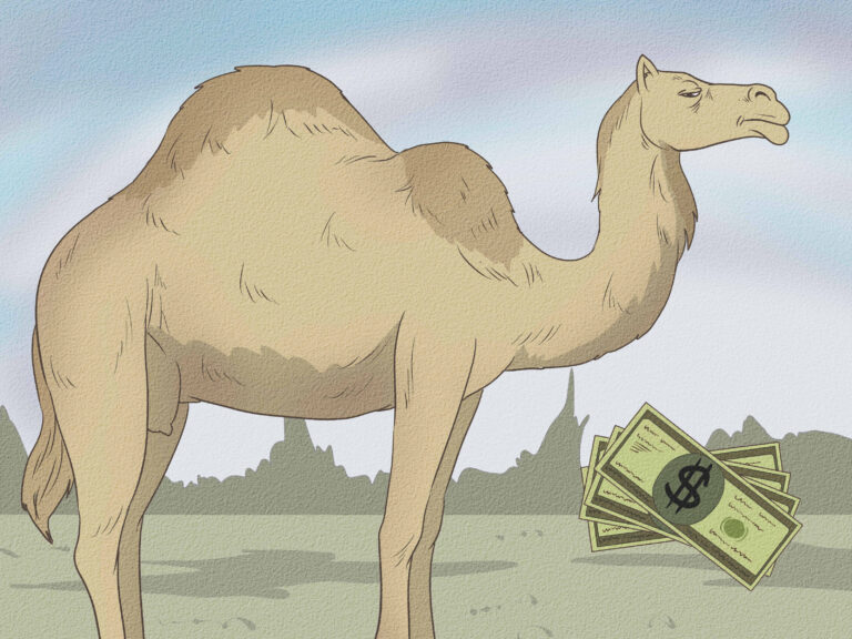 How Many Camels Am I Worth? History Economics and the Viral Trend